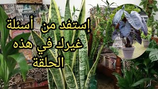 استفد من أسئلة غيرك في هذه الحلقة