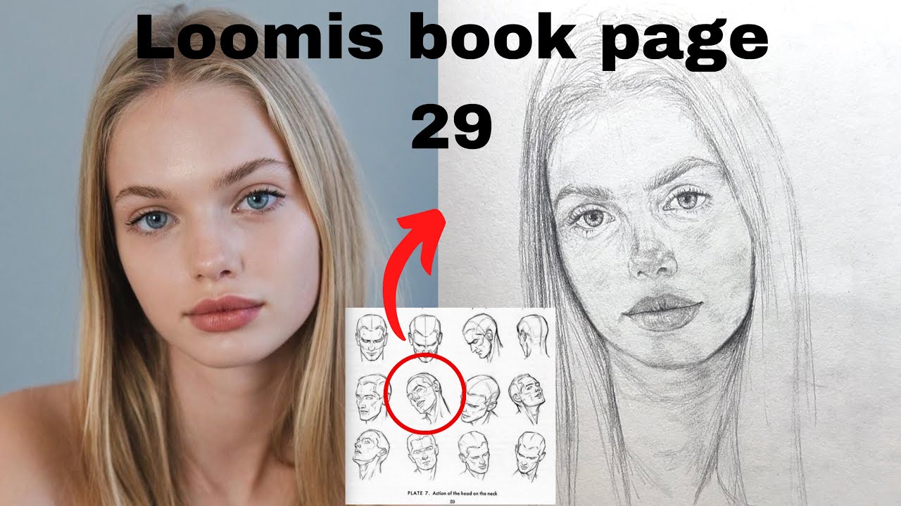 How to draw a portrait using loomis method - YouTube