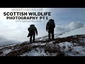 WILDLIFE PHOTOGRAPHY | CAIRNGORMS, SCOTLAND | Mountain Hares with Espen Helland | Part 1