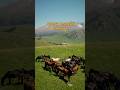 Жетысуская область