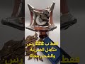 ثمن كيلو عود تايجر طبيعي محسن سوبر٢٢٢ ر س شامل الضريبه شحن مجانا Https Qasralotour Com OmyXqp 