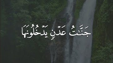 احمد النفيس - سورة فاطر || { جنات عدن يدخلونها يحلون فيها من أساور من ذهب ولؤلؤًا }