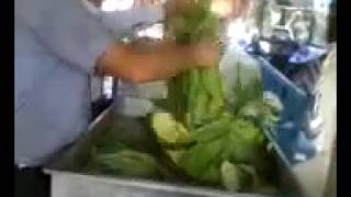 Erbaa Yoldere Köyü & Abduraman Yildirim & Fi̇leye Tütün Di̇zme 03 Ağustos 2015 Resimi