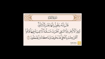 سورة البقرة الآية ٧٠-٧١ القارئ بندر بليلة