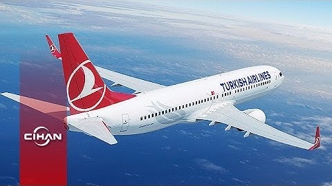 THY uçağı kuş sürüsüne girdi