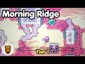 Morning Ridge Golden Berry - Celeste