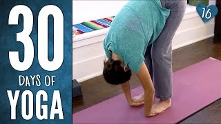 Day 16 - Easy Breezy Beautiful Yoga - 30 Days of Yoga screenshot 4