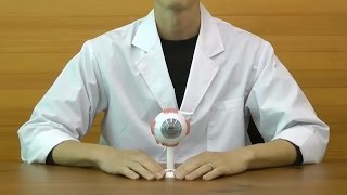 視覚器（眼球），3倍大・6分解モデル：動画