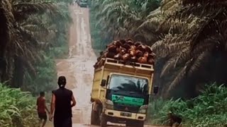 Detik Detik Truk Sawit Tidak Kuat Di Tanjakan Dan Mundur Jauhkalteng