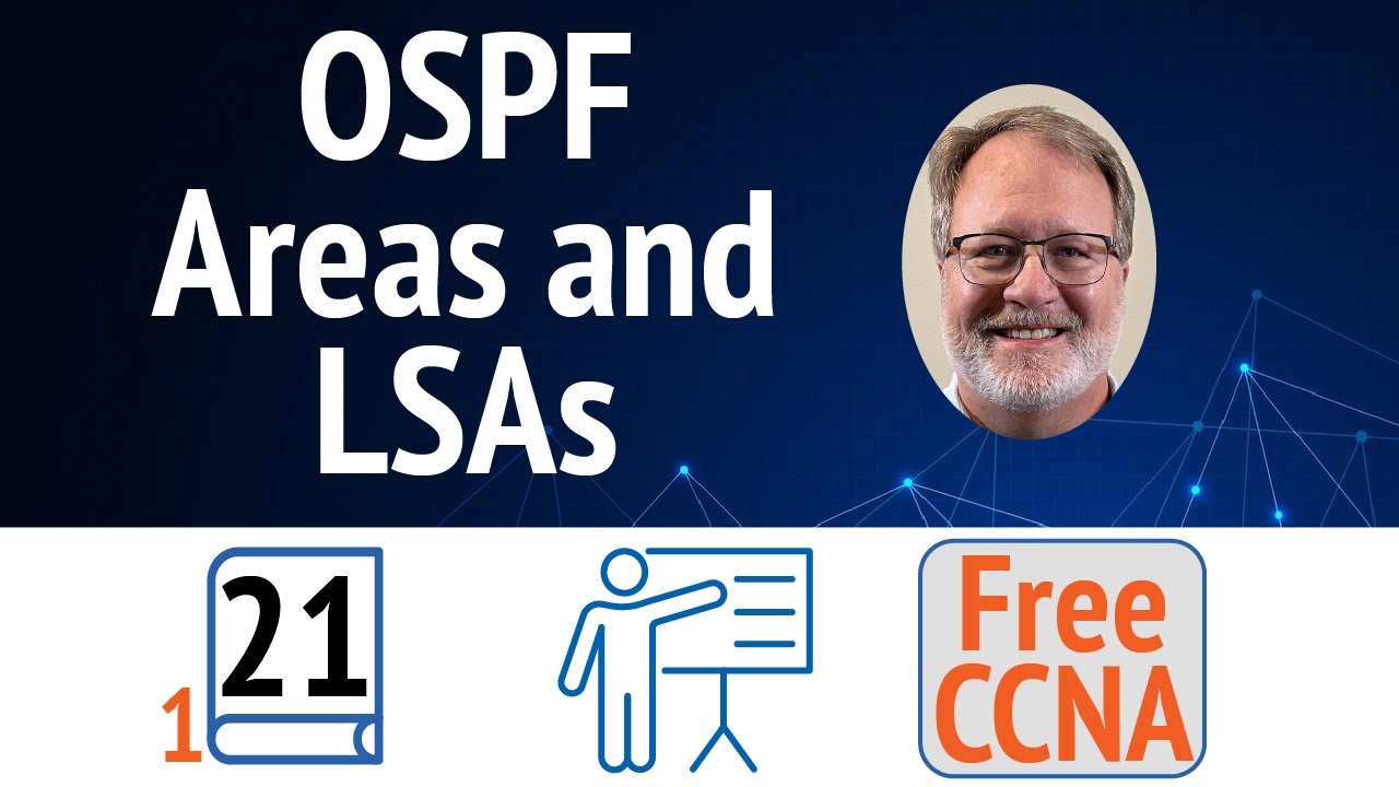 Области OSPF и типы LSA: полная картина для CCNA