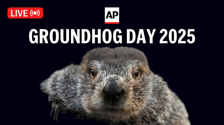 Groundhog Day 2025 LIVE: Watch Punxsutawney Phil's annual prediction