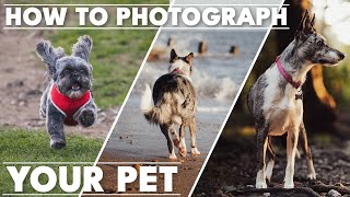 How to Photograph your Pet | Tutorial Tuesday screenshot 1