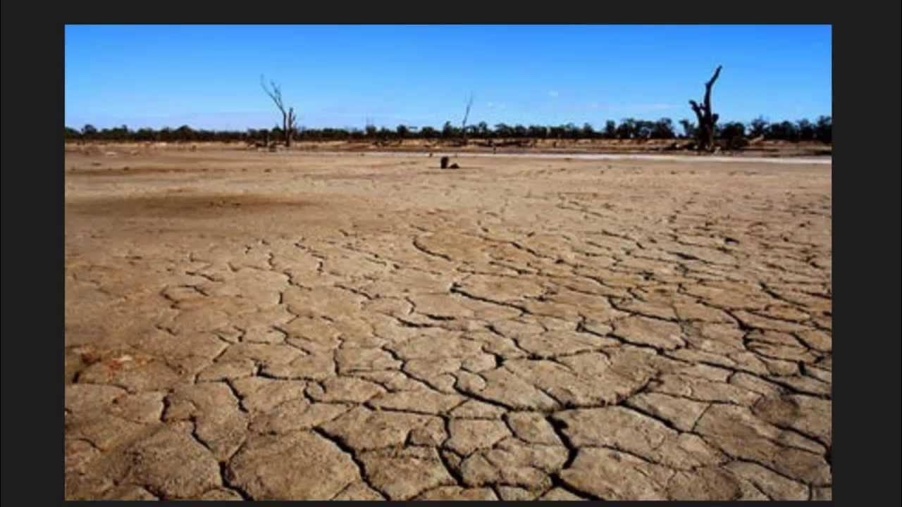 Засушливые области австралии