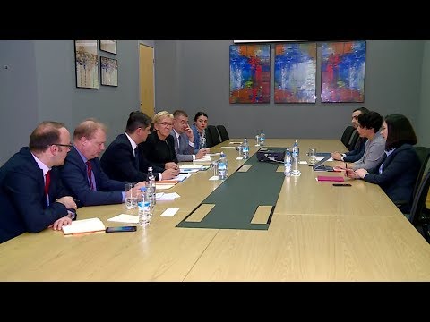 შეხვედრა ევროპის საბჭოს საპარლამენტო ასამბლეის მონიტორინგის კომიტეტის დელეგაციასთან