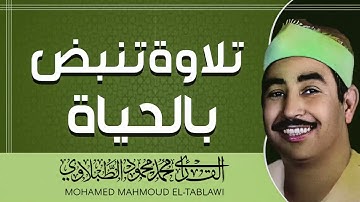 صوت عذب | تلاوة تأخذك بعيدًا | الشيخ محمد محمود الطبلاوي