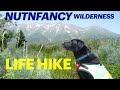 Nutnfancy Wilderness: &#39;Life Hike&#39; Memories