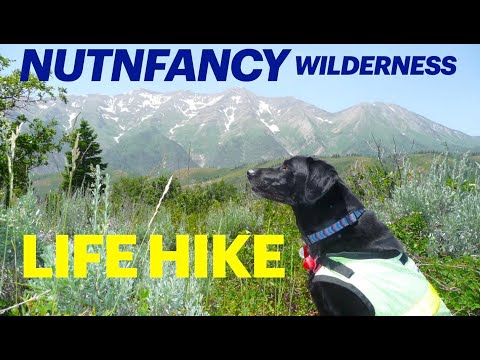 Nutnfancy Wilderness: 'Life Hike' Memories