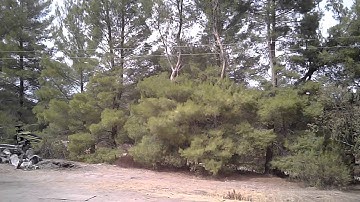 Nano cpx first flight