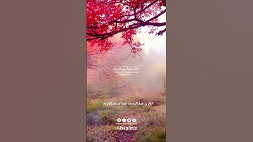 {وَلَا تَقُولَنَّ لِشَيْءٍ إِنِّي فَاعِلٌ ذَلِكَ غَدًا}@Absalmz بصوت القارئ عبدالباسط المزيد