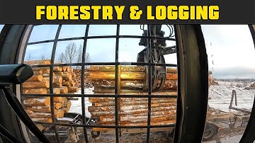 FDR Unloads Pulp Wood From Short Log Trucks - Part 2 - Real Life Forestry & Logging - FDR Logging