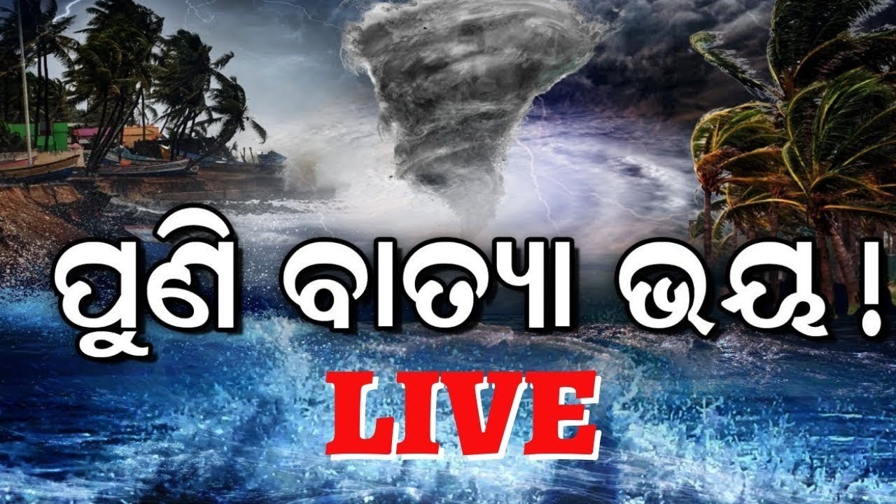 Weather News Live: କାଲି ଅବପାତ, ଆଲର୍ଟ ଜାରି | Low Pressure Rain | Odisha Weather News