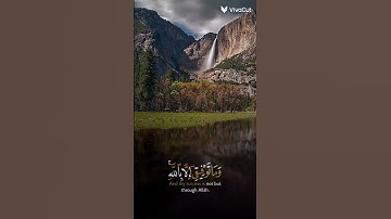 سورة هود آية (88)
