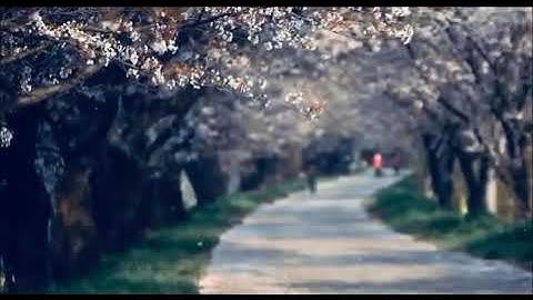 الم يأتكم نبأ الذين كفروا من قبل فذاقو  ( تلاوة خاشعة اسلام صبحي )