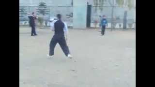 6 Videos, Shaolin Tai Chi Kung Fu Academy