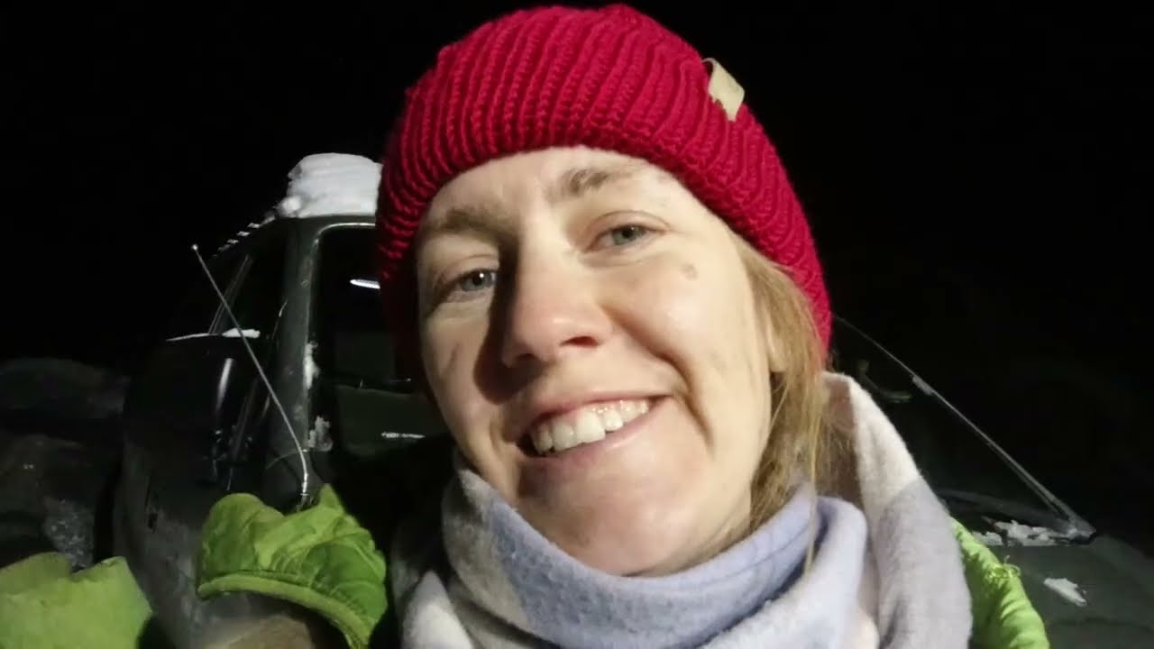 Snow clearing, and fridge repair