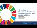 14th IAEG-SDG meeting | Day 2 Plenary (PM session)