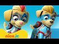 PAW Patrol | ¡Lo Mejor de PAW Patrol Mighty Twins! 🐶 | Nick Jr. en Español