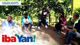 Angel Locsin gives presents to the coffee farmers of Batangas | Iba 'Yan