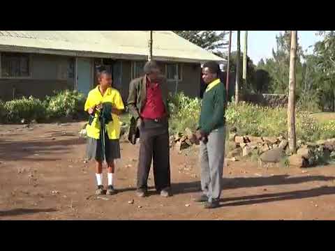 Vile Tulitesa Shuleni