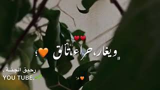 قلبٌ بالحق تعلق 🥰