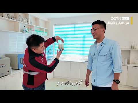 Business and Finance in China: Developing new types of cat litter to meet various consumer needs