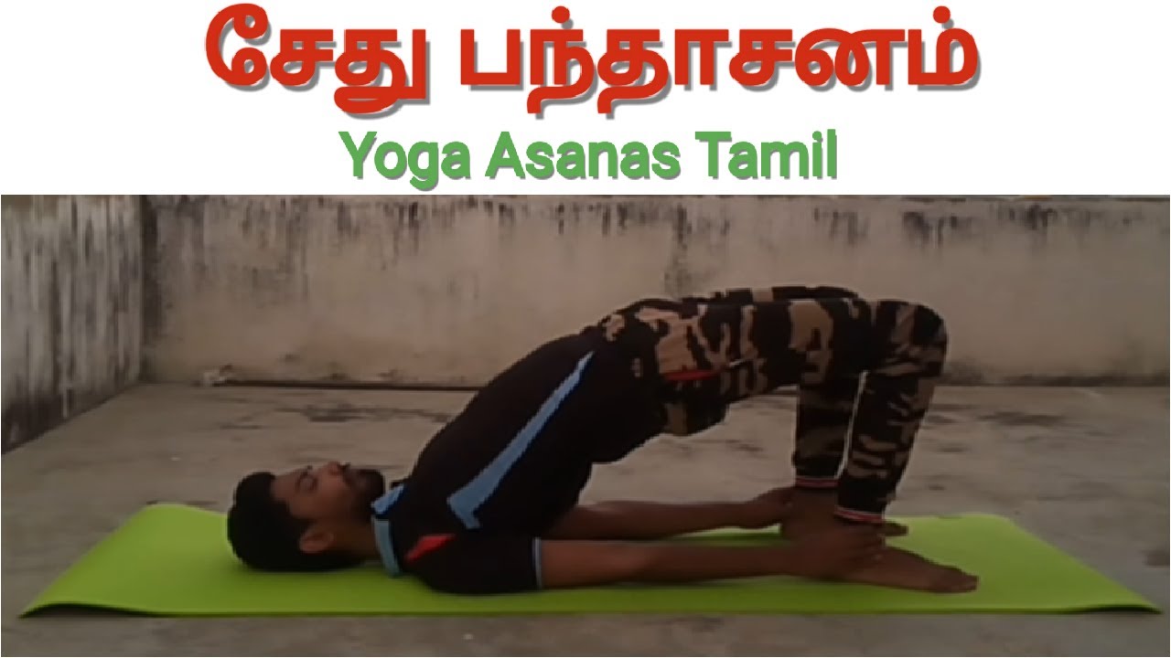 Asanas Recommended for High Altitudes | Download Scientific Diagram