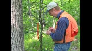 Implementing Forest Biomass Harvesting and Retention Guidelines