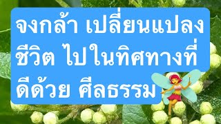 #random#จงกล้า เปลี่ยนแปลงชีวิต ไปในทิศทางที่ดีด้วยศีลธรรม จงใช้วิจารณญาณในการรับฟัง