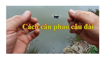 Câu Đài Miền Bắc | Cách Cân Phao Câu Đài - Cân 7 Câu 3 Nhanh Nhất