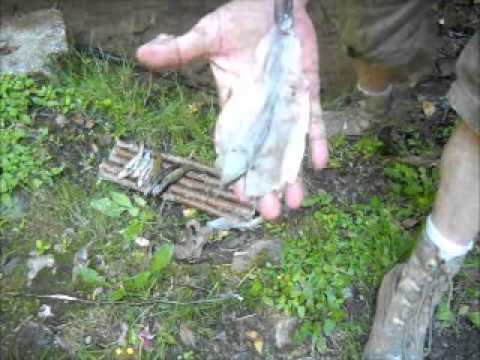 Mountain Trout Fishing Adventure