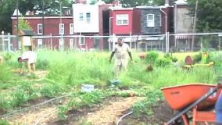 Growth Spurt How urban gardening is changing Washington DC