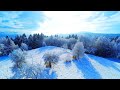 Sleeping Music To Concentrate - Beautiful Winter Snow Scene + Calming Piano Music For Sleep Music