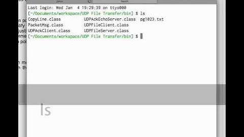 run UDP Echo server & client
