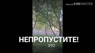 Трейлер фильма (Slender) ☺🙂