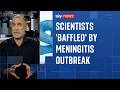 Why scientists are struggling to understand Kent's deadly meningitis outbreak