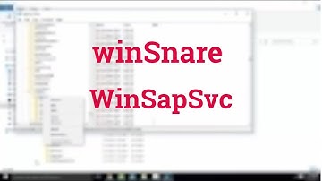 Remove WinSnare virus , WinSAPsvc Virus manually from registry((100% working and simple) on windows