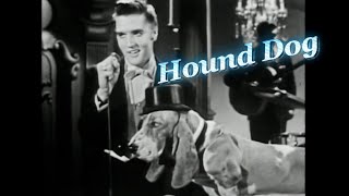 Elvis Presley - Hound Dog (The Steve Allen Show / July 1, 1956) 4K