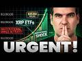 LOOK OUT: The XRP Supply Shock Just Started