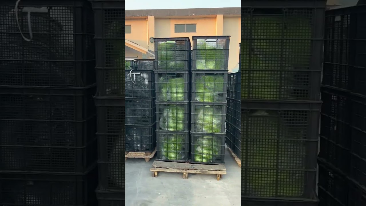 China processing plant quickly produces shared electric bikes 