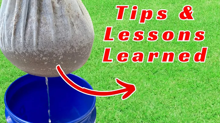 Pre-Germinating Grass Seed: Tips for Success - Fall 2024 Update